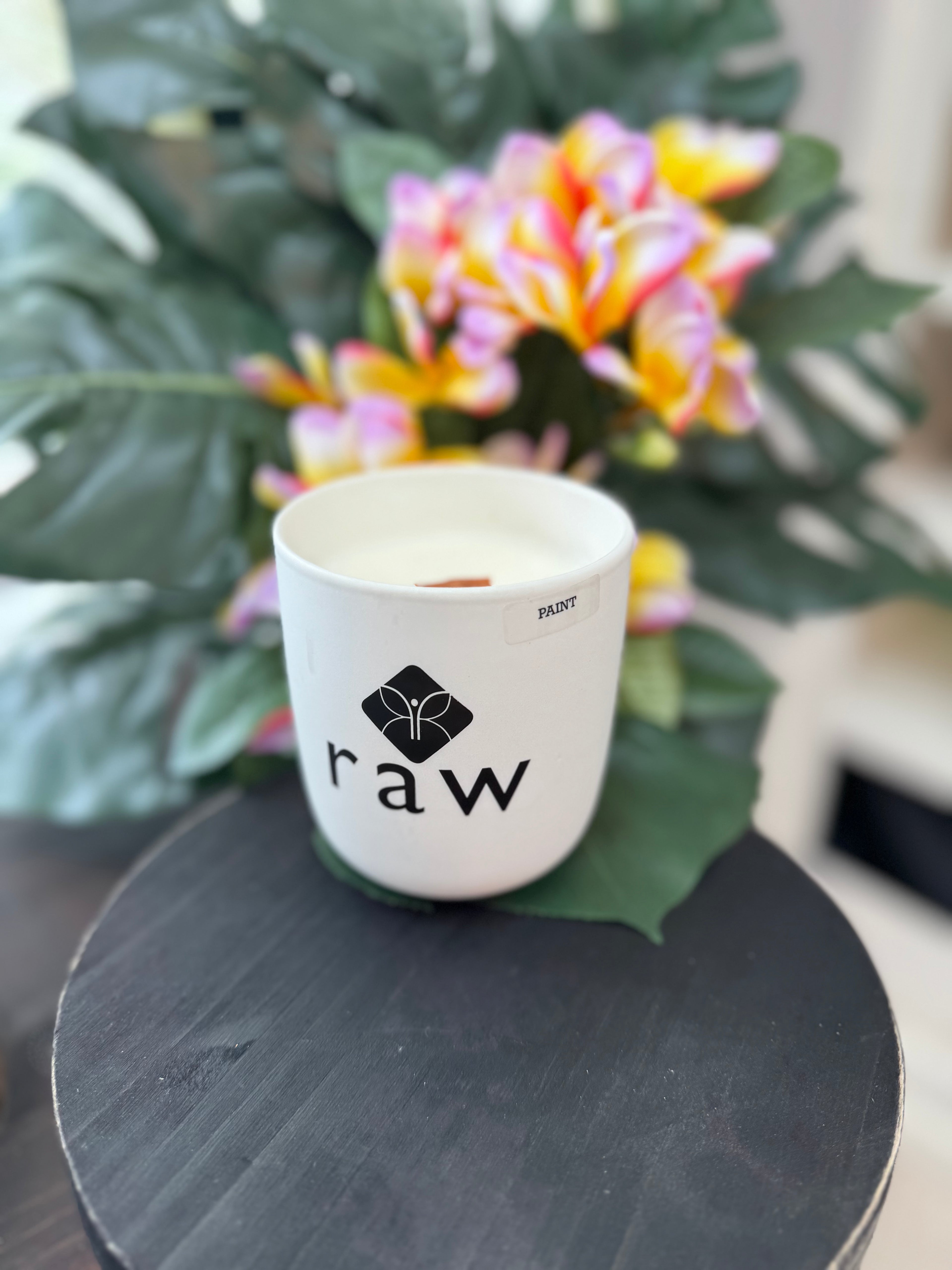 Paint Your Future 2 in 1 Nourishing Candle